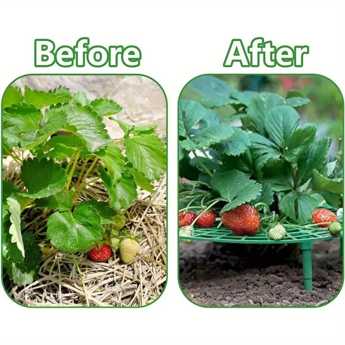 Strawberry Support Frame 5Pack