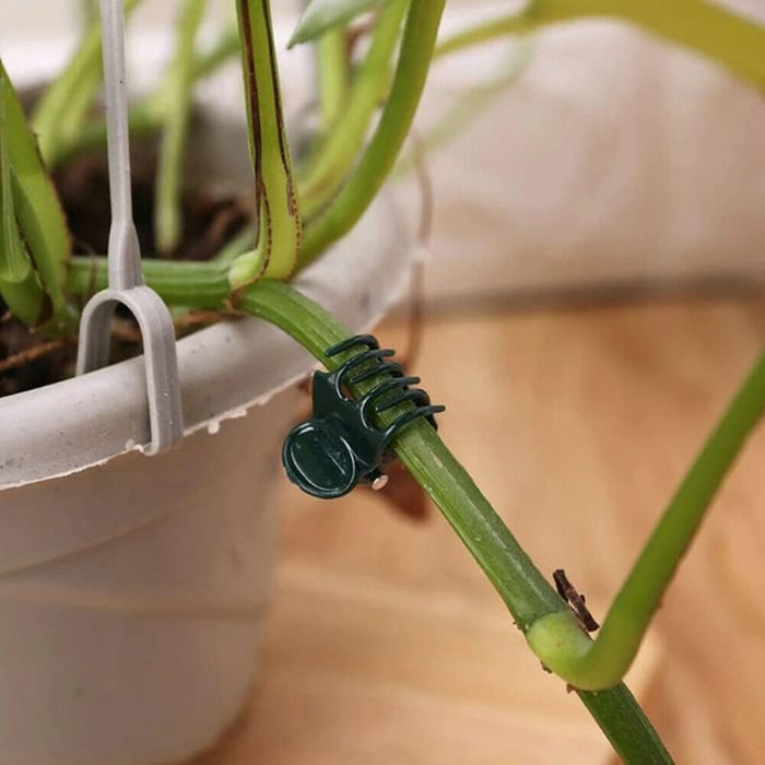 100PCS Plant Support Clips