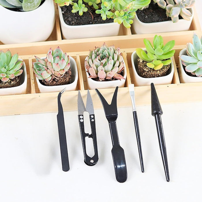 Mini Garden Tool Set for Succulent Planting- 14 Piece