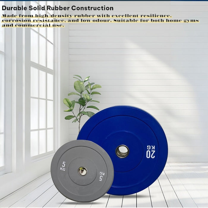 Color Bumper Weights