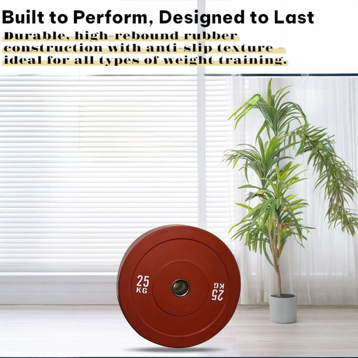 Color Bumper Weights