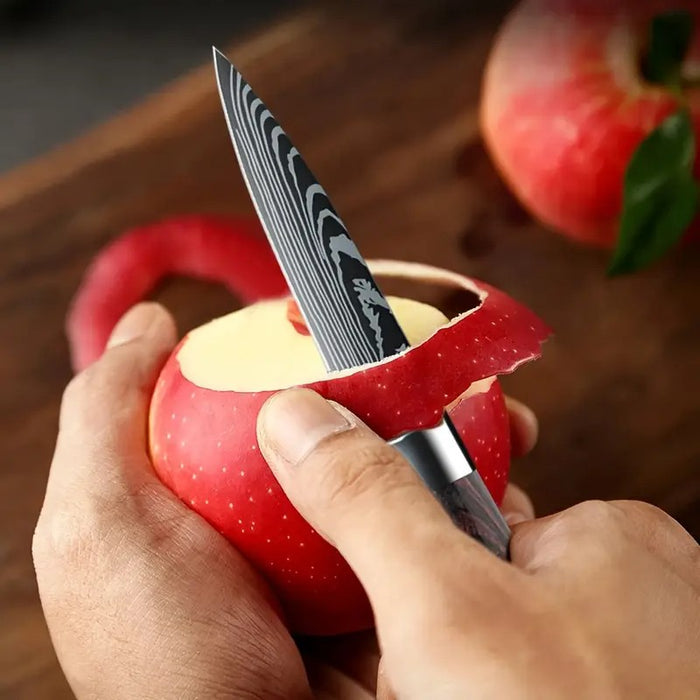 Kitchen Chef Knife Set-6 Piece