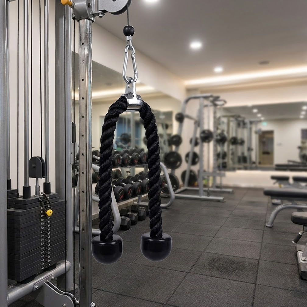 Sports & Outdoors > Fitness > Home Gyms