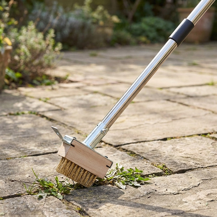 Multi-Section Stainless Steel Crevice Weeding Brush