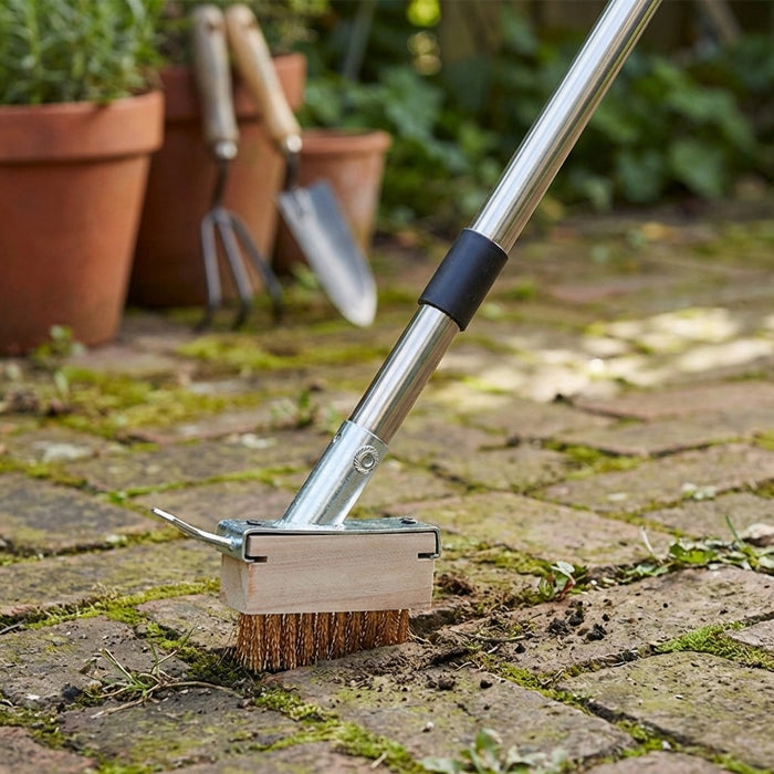 Multi-Section Stainless Steel Crevice Weeding Brush