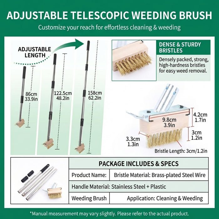 Multi-Section Stainless Steel Crevice Weeding Brush