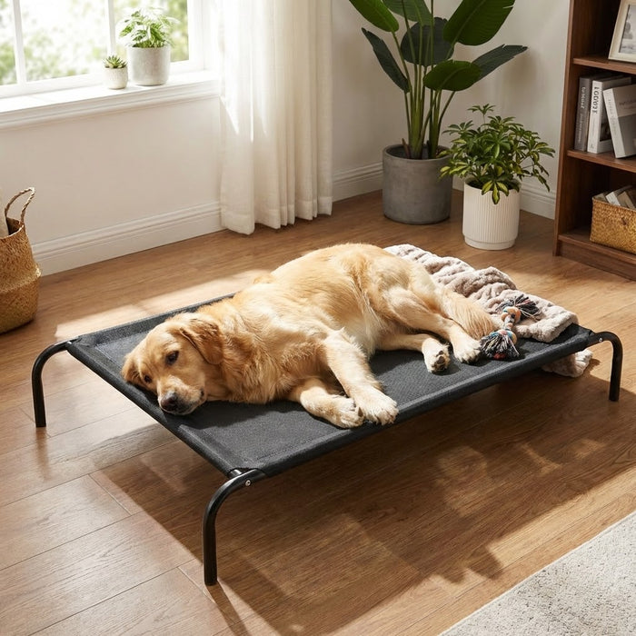 Elevated Dog Bed With Breathable Sterling Mesh