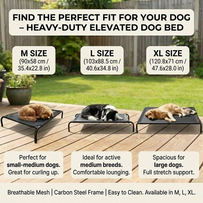 Elevated Dog Bed With Breathable Sterling Mesh