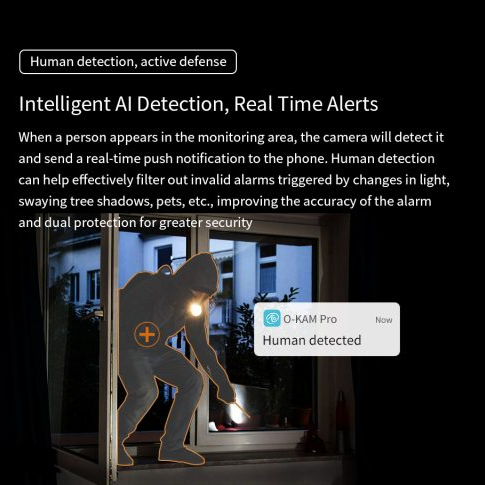 WiFi Dual Lens Security Camera with Colour Night Vision