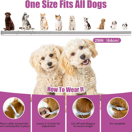 Dog collar with size chart and step-by-step guide on how to wear it, featuring two dogs and a measurement bar.