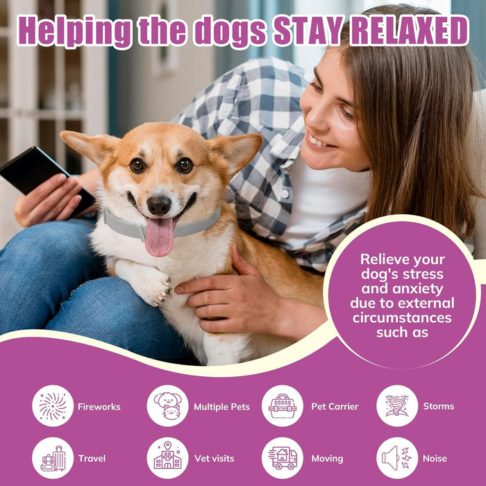 Woman holding a dog with text about helping dogs stay relaxed and relieving stress.