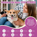 Woman holding a dog with text about helping dogs stay relaxed and relieving stress.