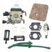 Set of carburetor repair parts on a white background