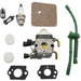 Set of carburetor and related parts on a white background