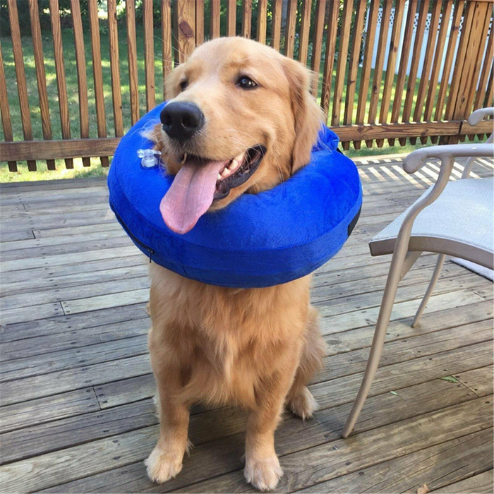 Dog Inflatable Collar XL