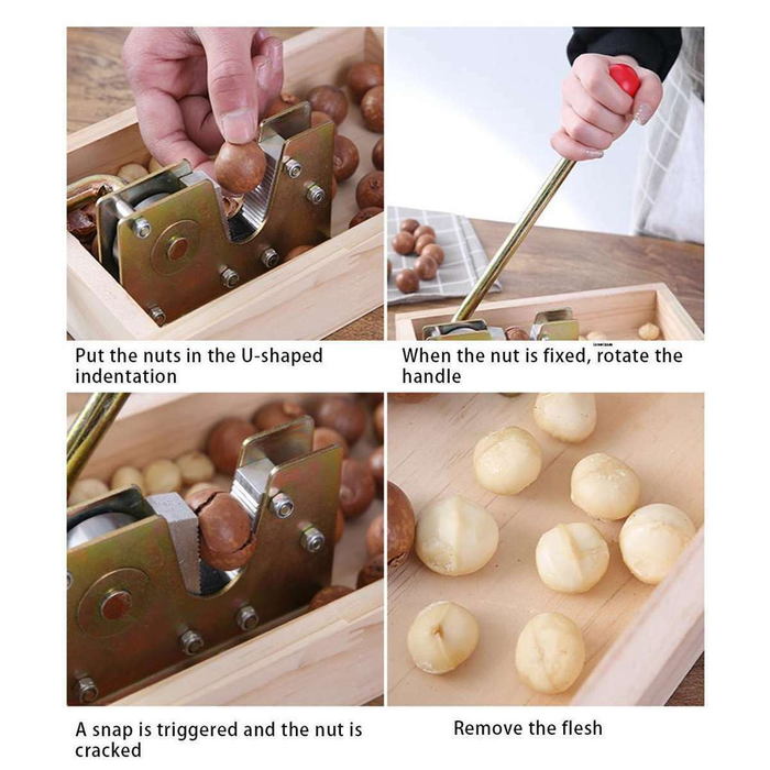Macadamia Opener Nut Cracker Walnut Tool
