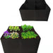 Black fabric planter with plants on a white background