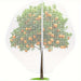 Tree with orange fruits enclosed in a protective netting against pests.