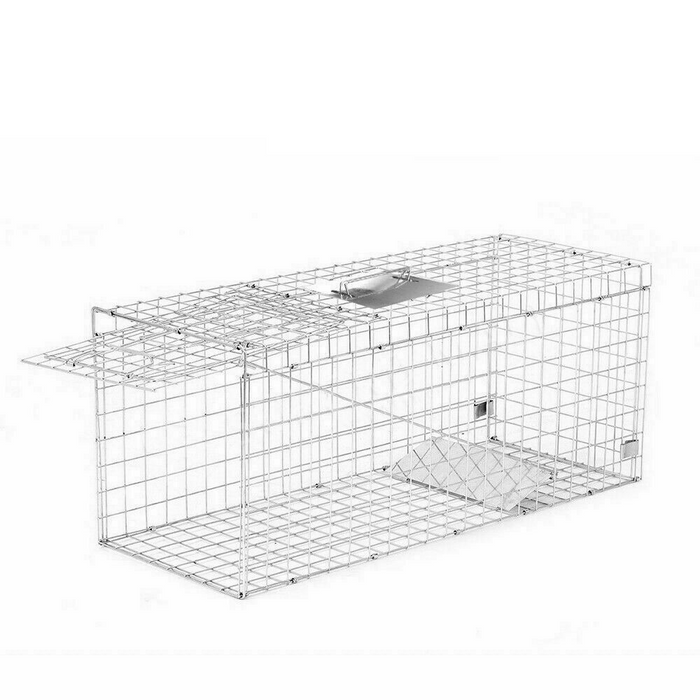 Wire animal trap on a white background