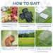Step-by-step guide on how to bait a trap with images and text.