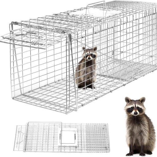 Raccoon trap with a raccoon inside, accompanied by an inset showing the trap's interior and a separate image of a raccoon on a white background.