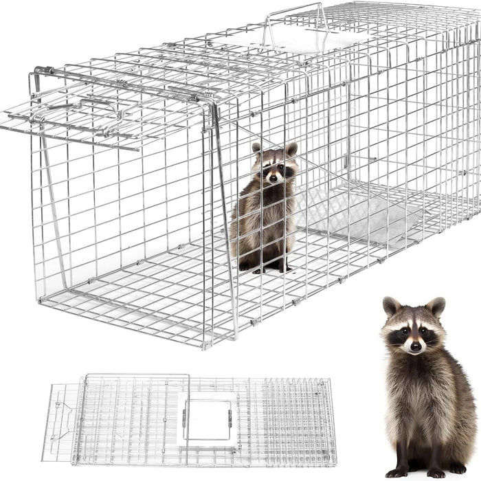 Raccoon trap with a raccoon inside, accompanied by an inset showing the trap's interior and a separate image of a raccoon on a white background.