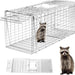 Raccoon trap with a raccoon inside, accompanied by an inset showing the trap's interior and a separate image of a raccoon on a white background.