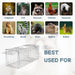 Collection of animals with labels and a metal trap labeled 'Best Used For'.
