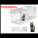 Raccoon trap with dimensions 79x28x33cm and a raccoon illustration on a white background.