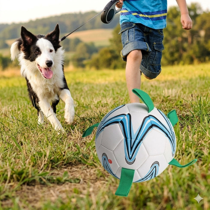 Football Dog Toy with Grab Tabs