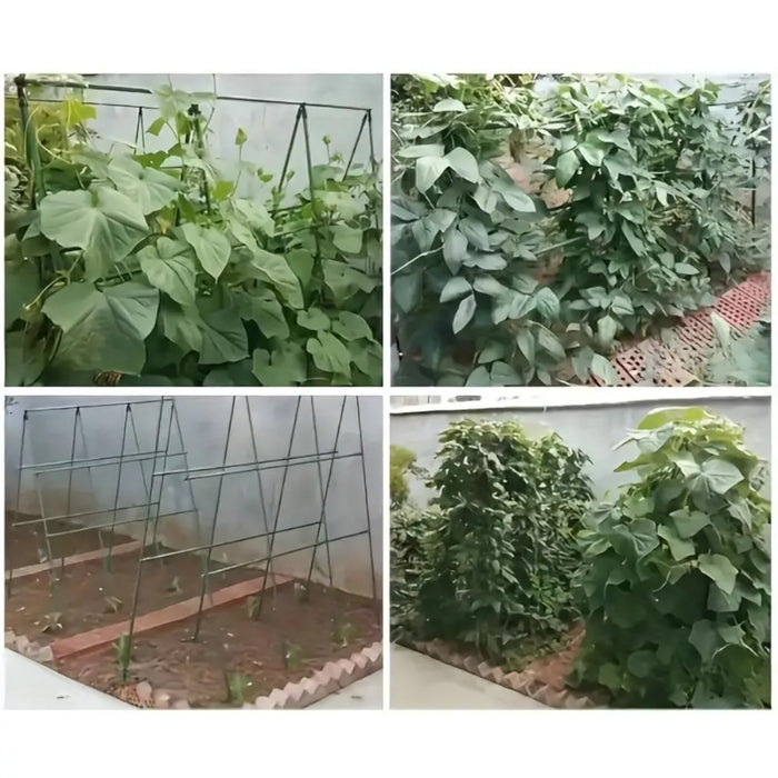 Plastic Coated Metal Garden Stakes- 10pcs