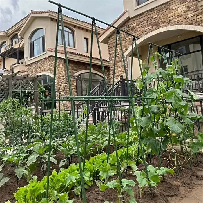 A Frame 16mm Garden Climbing Support Trellis Set