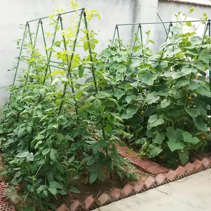 A Frame 16mm Garden Climbing Support Trellis Set