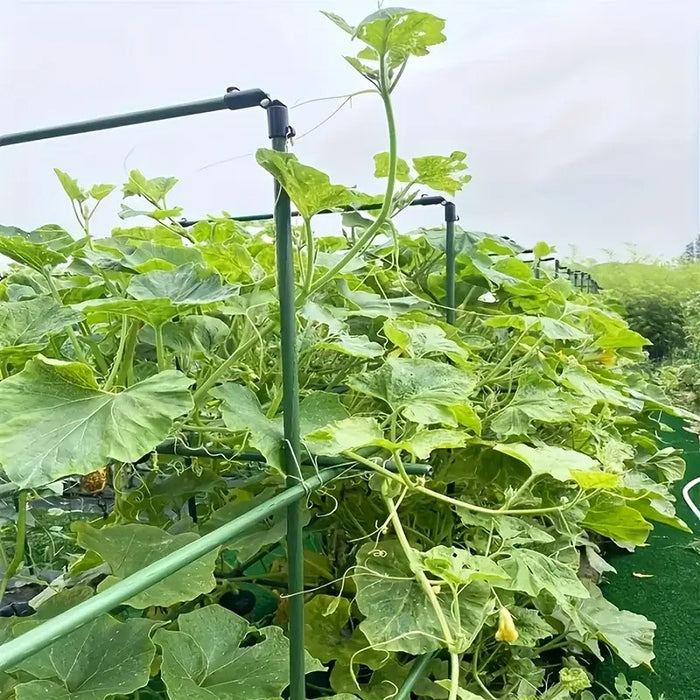 Garden Plant Climbing Trellis Support Frame