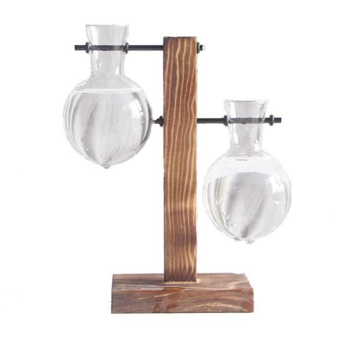 Hydroponic Vase Wooden Stand Glass Bulb Plants Container
