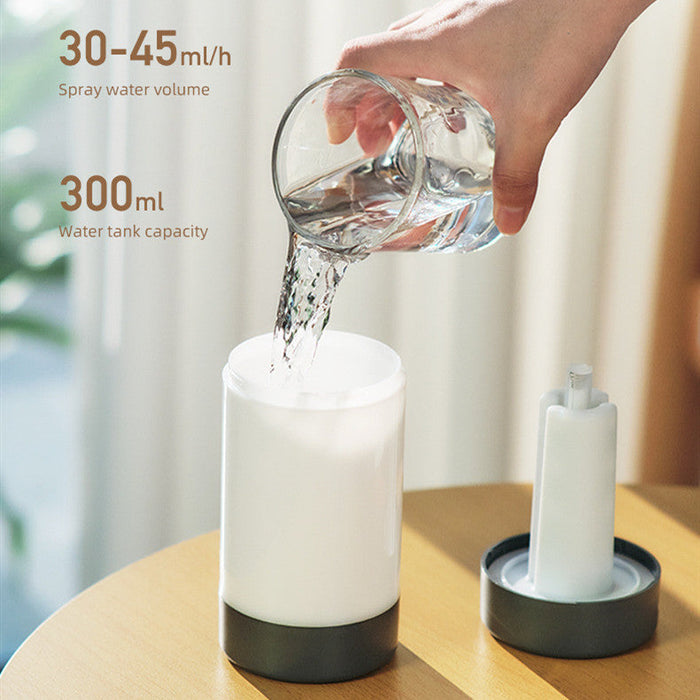 Humidifier LED Night Light Air Diffuser