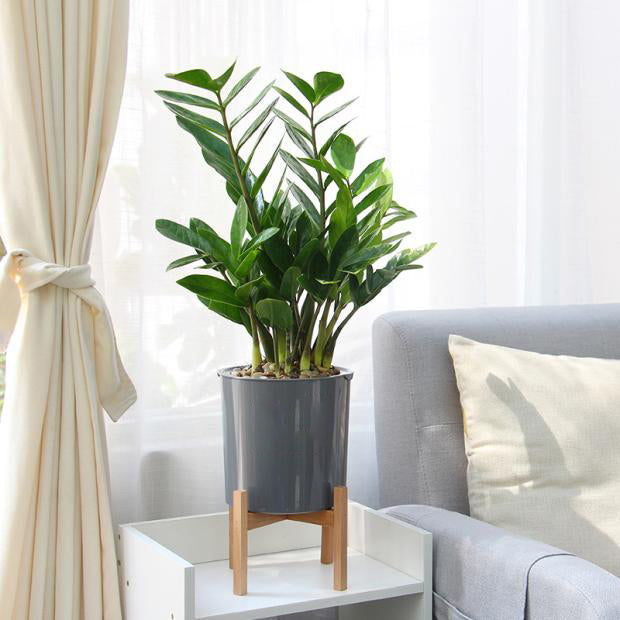 3 Size Plant Pot Stand with Wood Rack