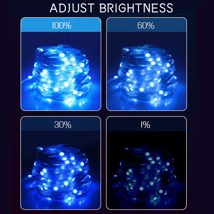 2M Smart LED String Lights RGBIC Strip