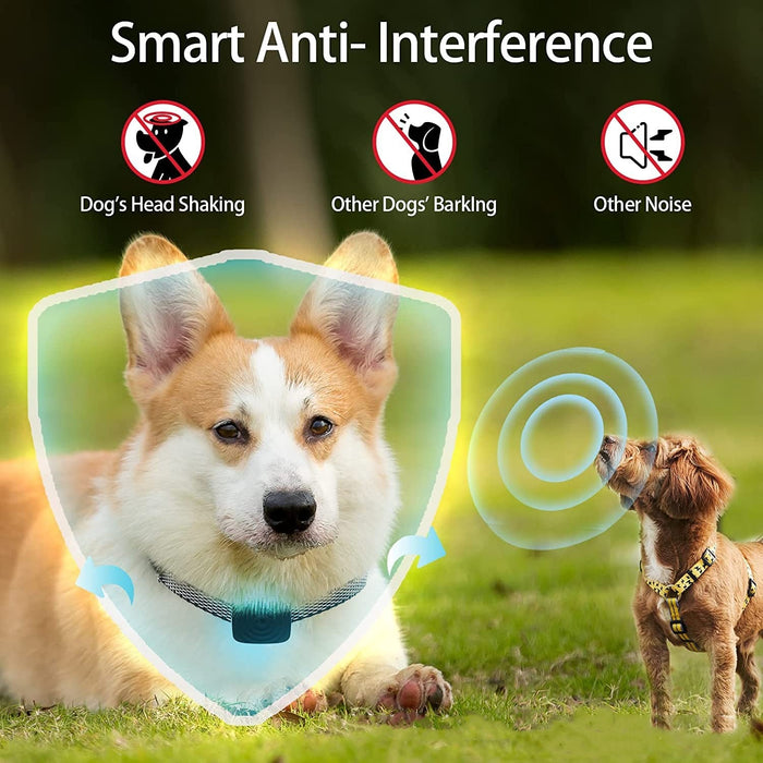 Anti Bark Dog Collar