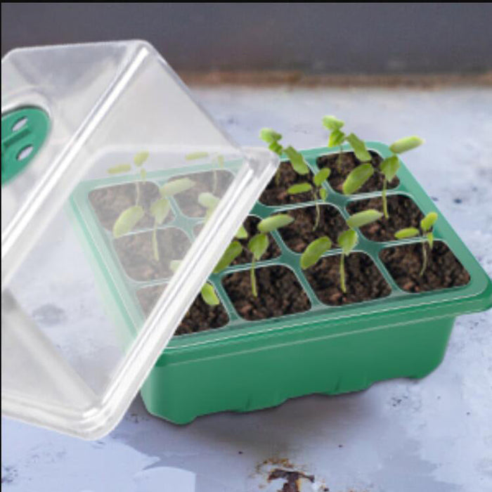 10 Packs Heightened Seed Box Seed Starter Tray Propagator