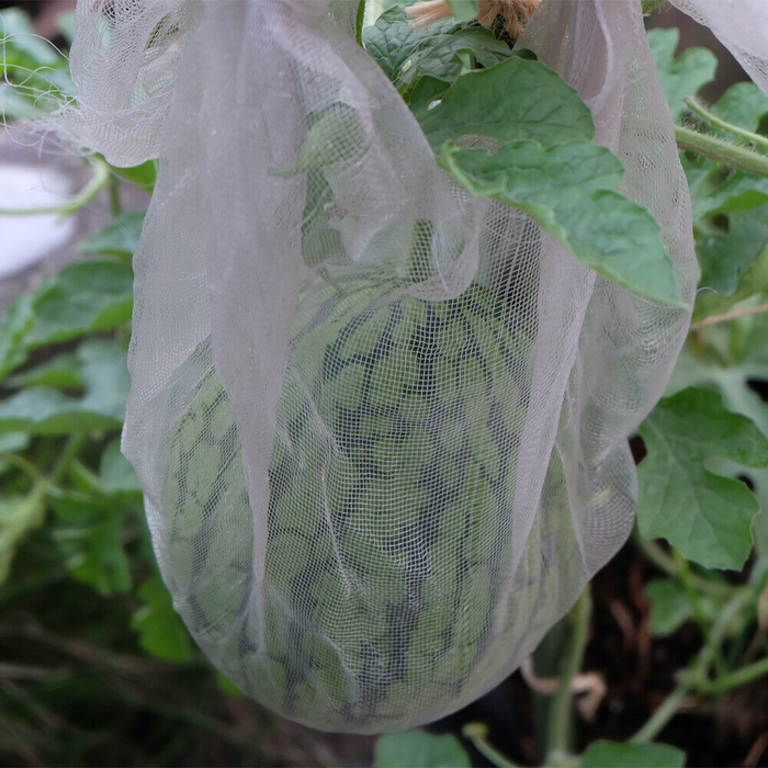 2.5 x 10M Crop Mesh Net