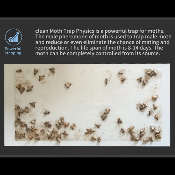Moth trap with moths on a white background and text about moth trap physics.