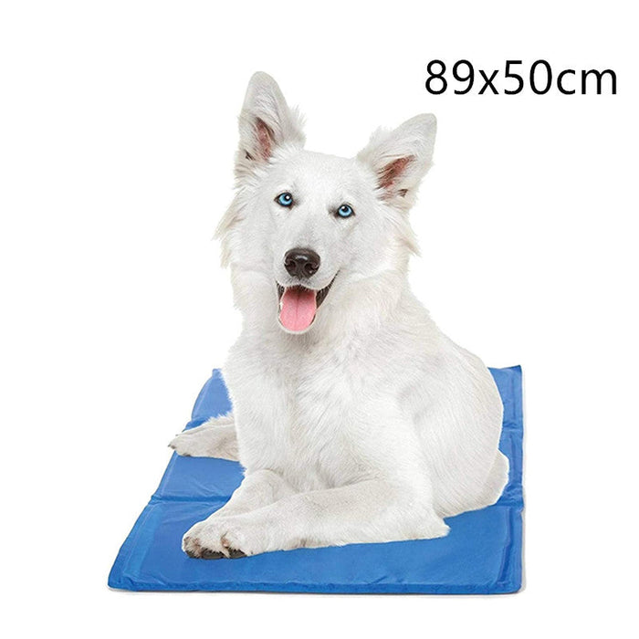 White dog with blue eyes on a blue pet mat with dimensions 89x50cm.