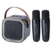 Portable speaker with brown handle and two black microphones on a white background