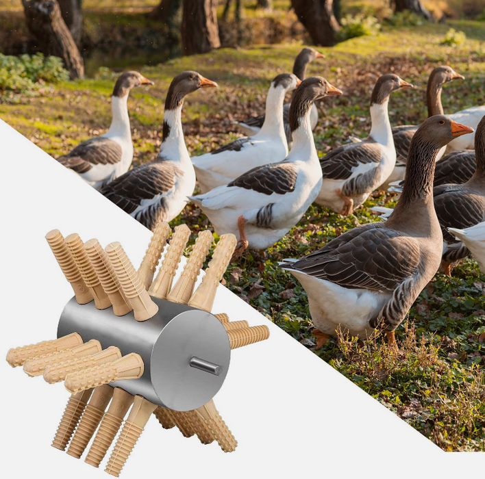 Drill Attachment Chicken Feather Plucker Stainless Steel