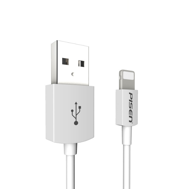 PISEN 1.5M USB Lightning Charging Cable Data