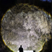Person standing in front of a large rock formation with Flashlight effect.