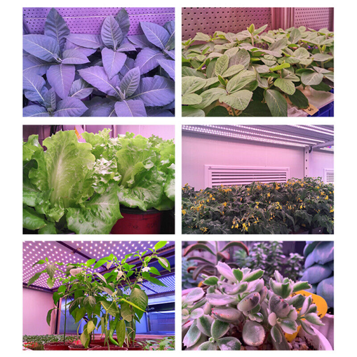 Grow Light 4 Head LED Plant Light