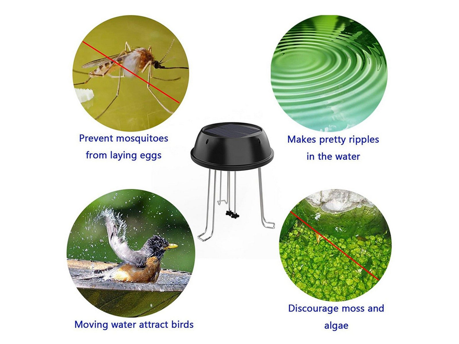 Solar Water Agitator Bird Bath — Off The Back