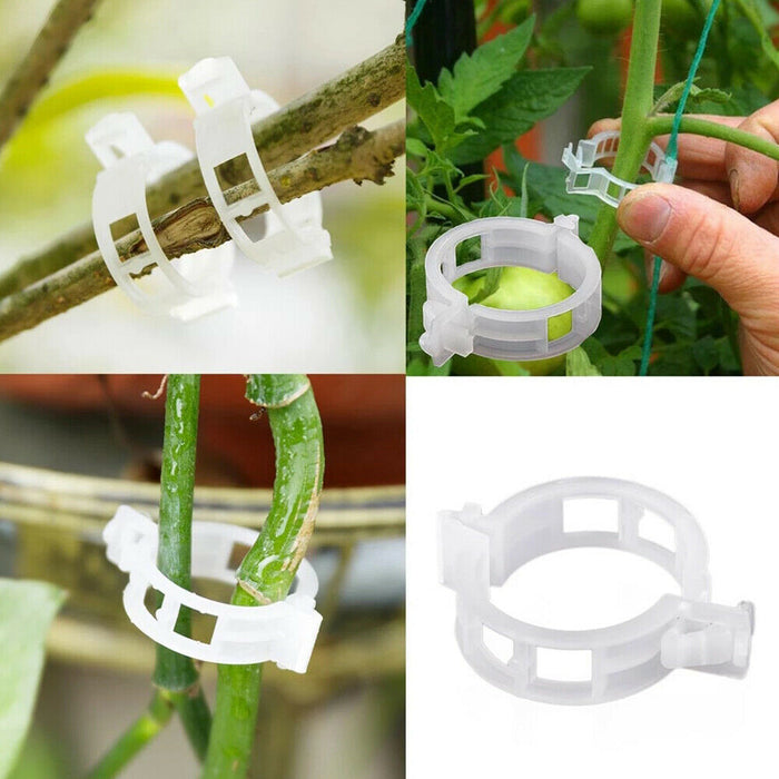 100PCS Greenhouse Garden Plant Tomato Support Veggie Clips Trellis Twine